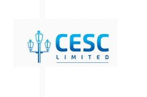 CESC not to go for renewables biz
