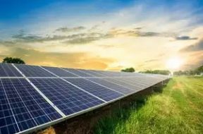 India may cut solar panel import tax to make up domestic shortfall