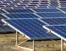 Move underway to purchase power from solar mini-grids to save investors