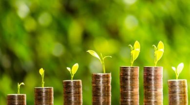 New platform to boost environmental impact financing in Africa