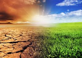 Studies on Impact of Climate Change
