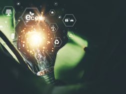 protecting the environment alternative energy Sustainable renewable energy sources Green energy innovation and environmentally friendly energy technology,light bulb and green background