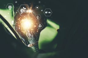protecting the environment alternative energy Sustainable renewable energy sources Green energy innovation and environmentally friendly energy technology,light bulb and green background