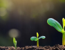 Air Liquide partners with Rothschild & Co and the Solar Impulse Foundation to accelerate the development of cleantech solutions